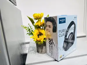 Portable Headphones Q10i