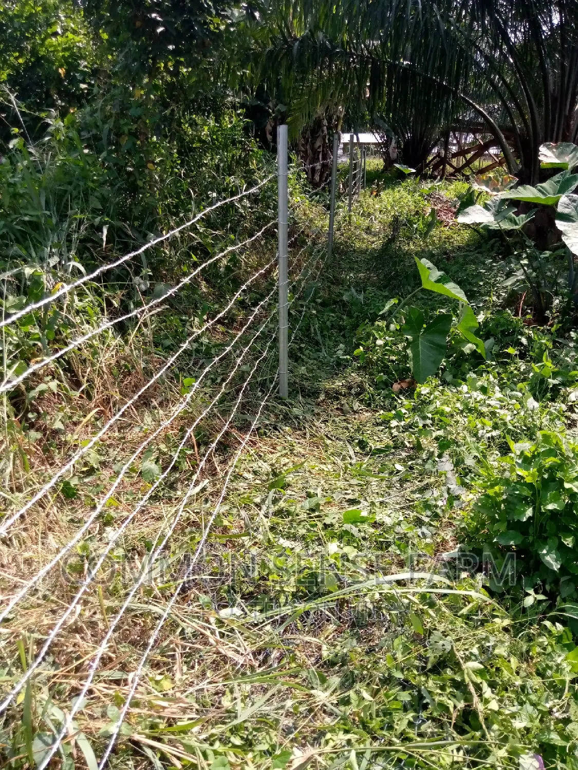 Quality Barbed Wire for Fencing