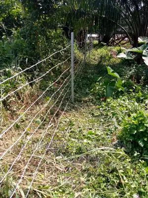 Quality Barbed Wire for Fencing