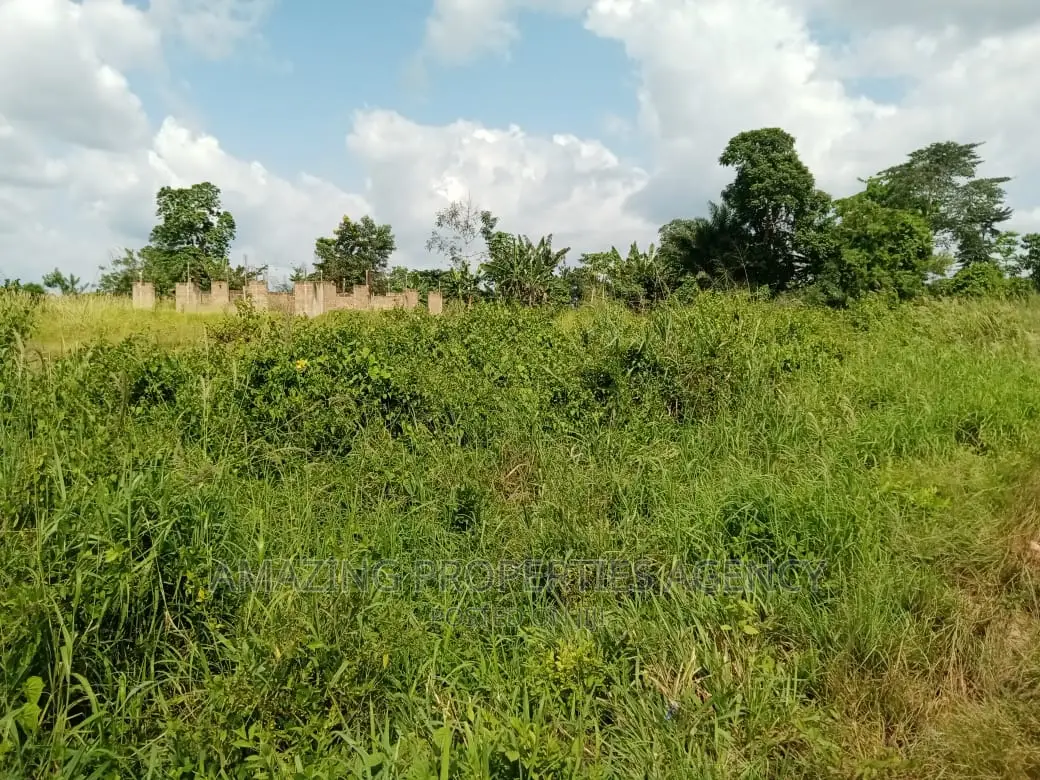 Roadside Land for Sale at Coastal Junction