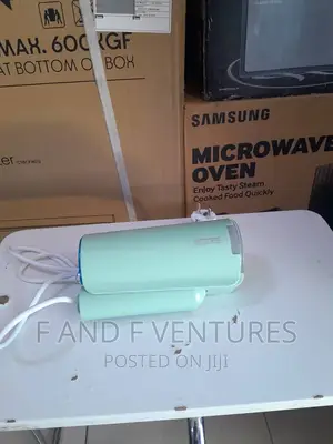 Foldable Garment Steamer- Germany