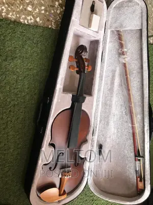 Acoustic Violin 4/4