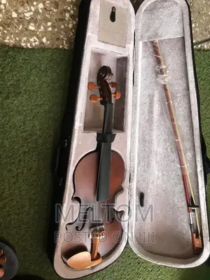 Acoustic Violin 4/4