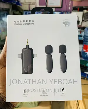 Professional 3 in 1wireless Microphone