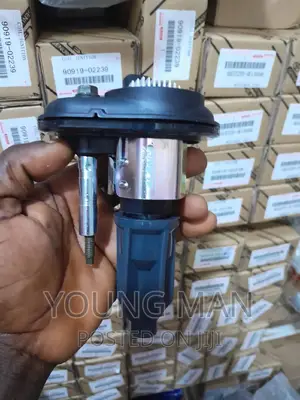 Hammer Iginition Coils