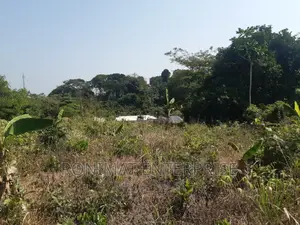 2 Titled and Duly Registered Roadside Plots for Sale -Larteh