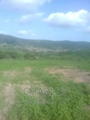 Estate Land for Sale at Adusa Near Pokuase