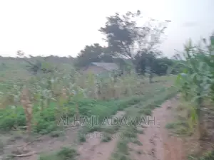 Land for Sale at Brofudro Ampemanim Kokoben