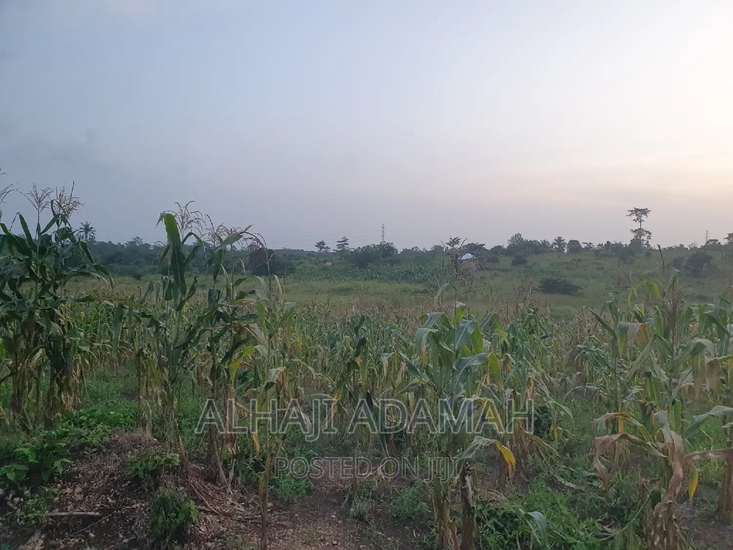 Land for Sale at Brofudro Ampemanim Kokoben