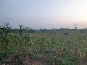 Land for Sale at Brofudro Ampemanim Kokoben