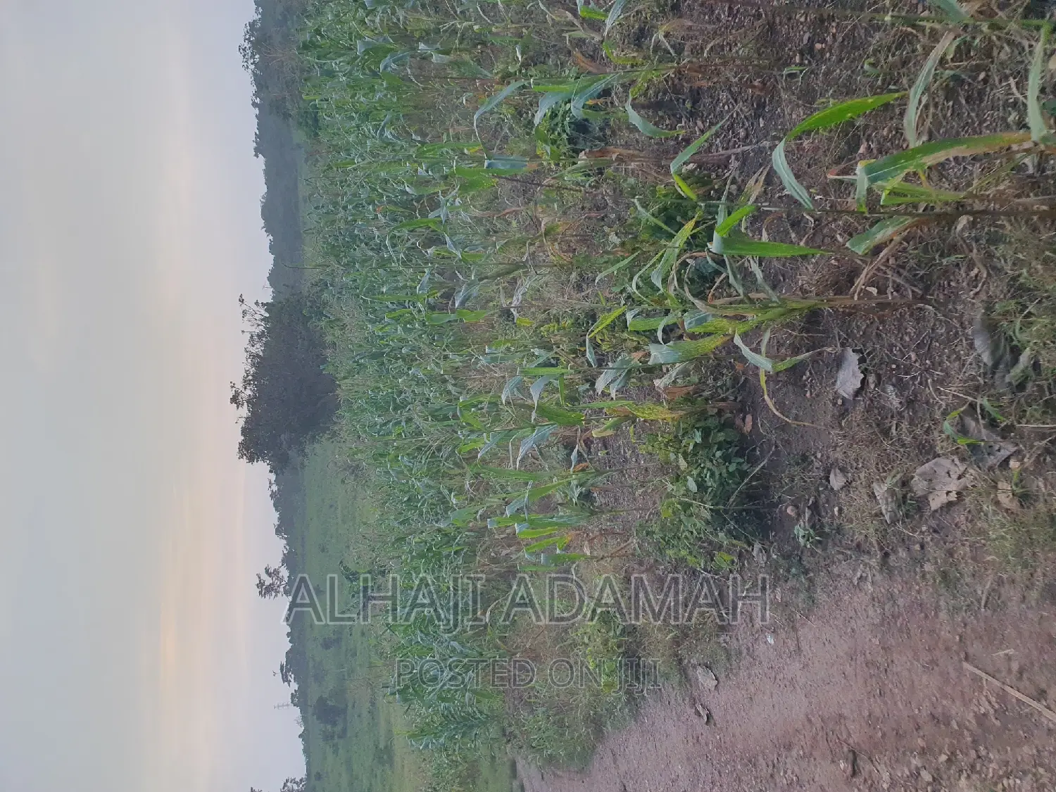 Land for Sale at Brofudro Ampemanim Kokoben