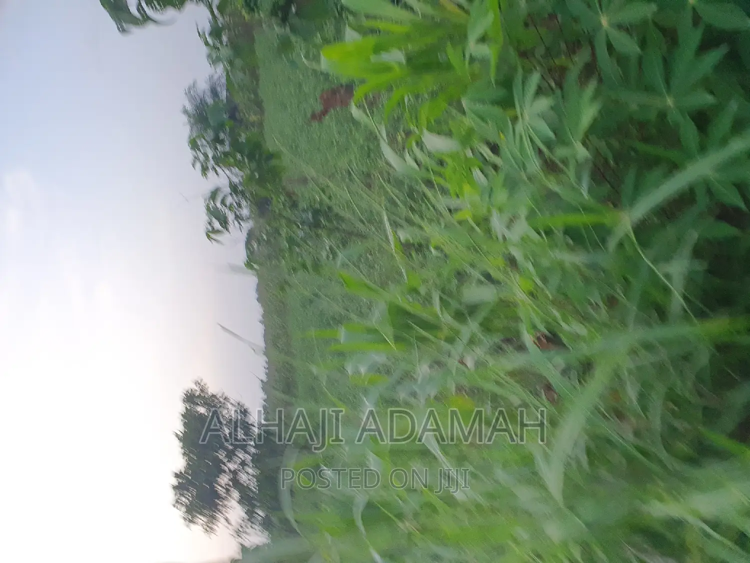 Land for Sale at Brofudro Ampemanim Kokoben