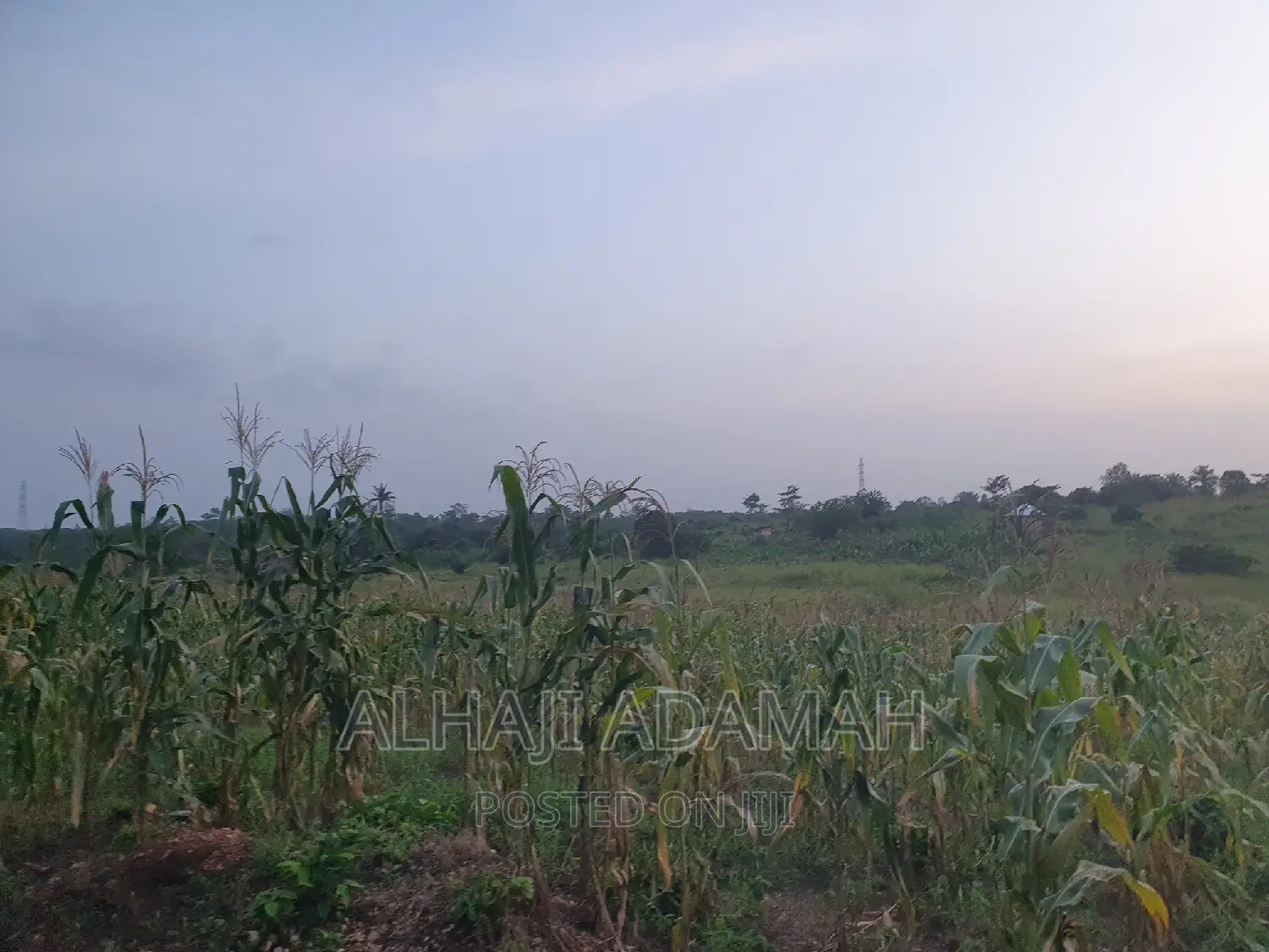 Land for Sale at Brofudro Ampemanim Kokoben