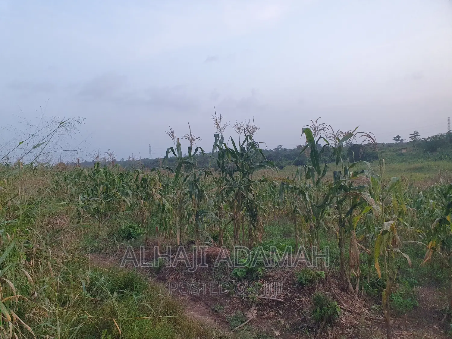 Land for Sale at Brofudro Ampemanim Kokoben