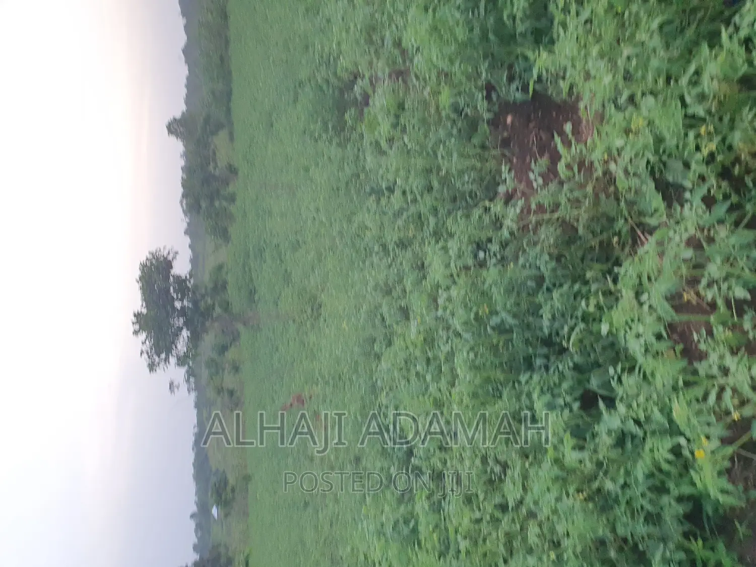 Land for Sale at Ampabame Kokoben
