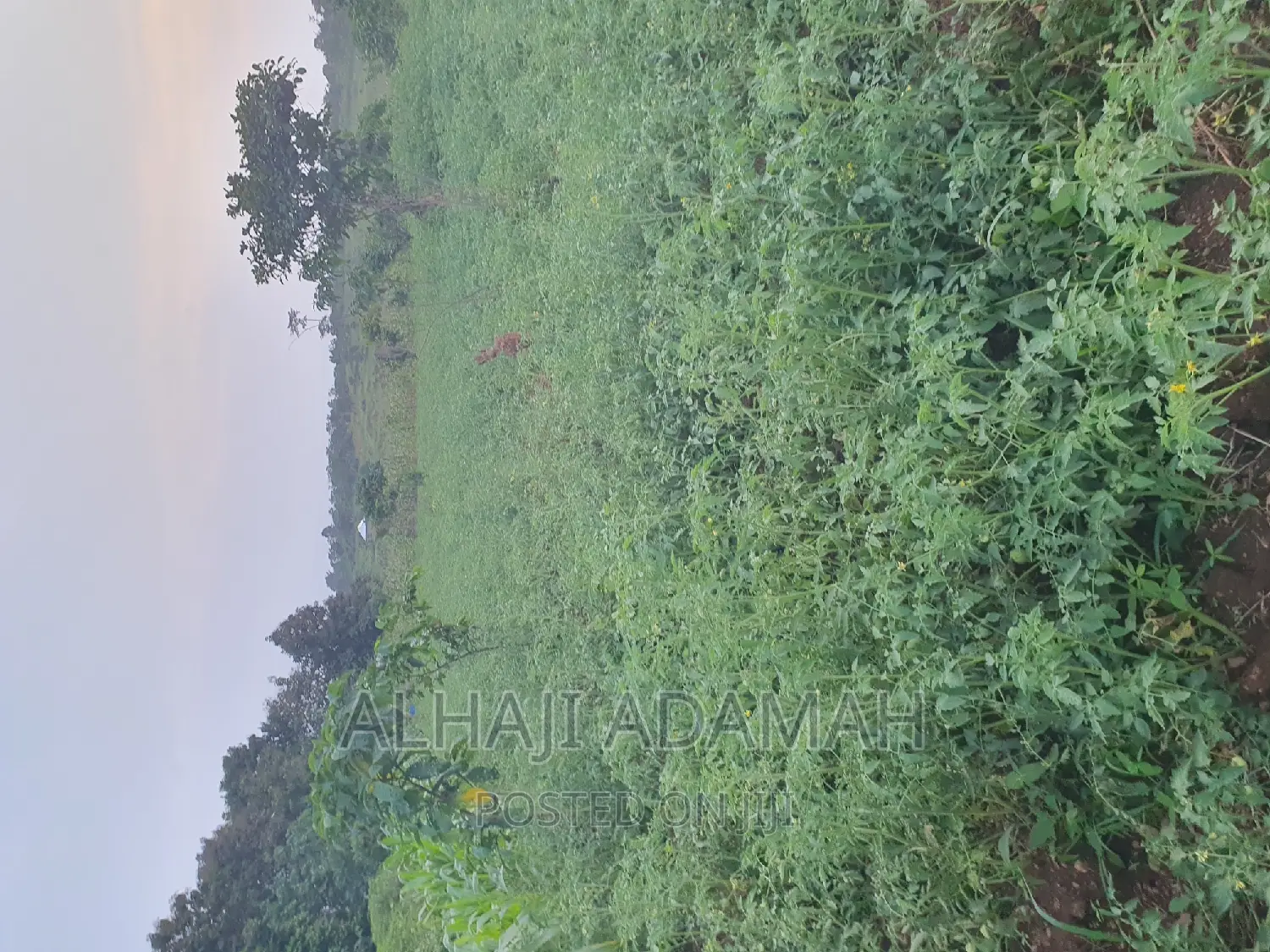 Land for Sale at Ampabame Kokoben