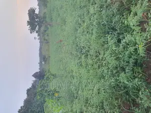 Land for Sale at Ampabame Kokoben