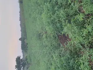 Land for Sale at Ampabame Kokoben