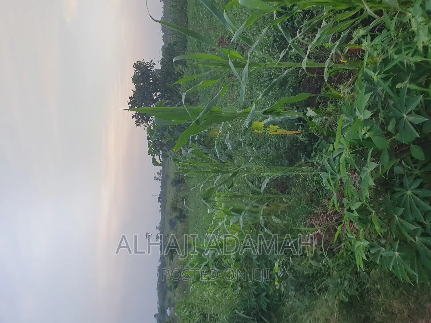 Land for Sale at Ampabame Kokoben