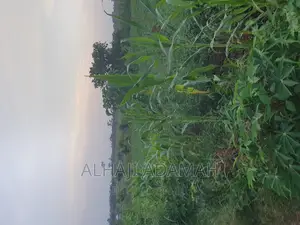 Land for Sale at Ampabame Kokoben
