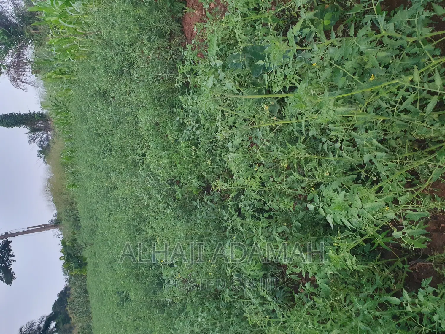 Land for Sale at Ampabame Kokoben