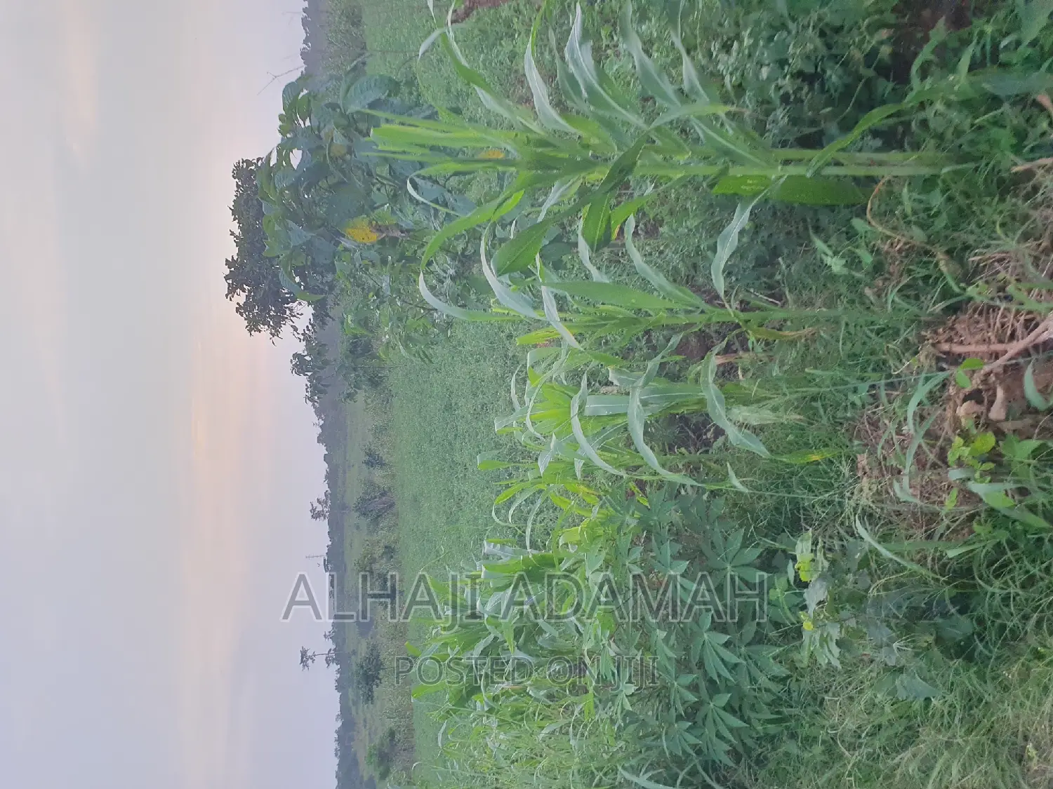 Land for Sale at Ampabame Kokoben