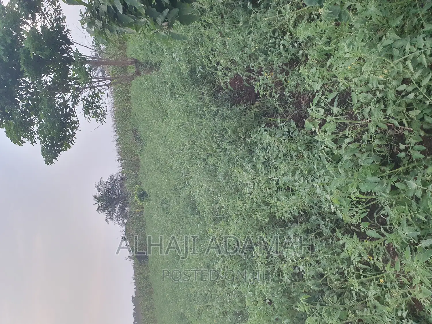 Land for Sale at Ampabame Kokoben