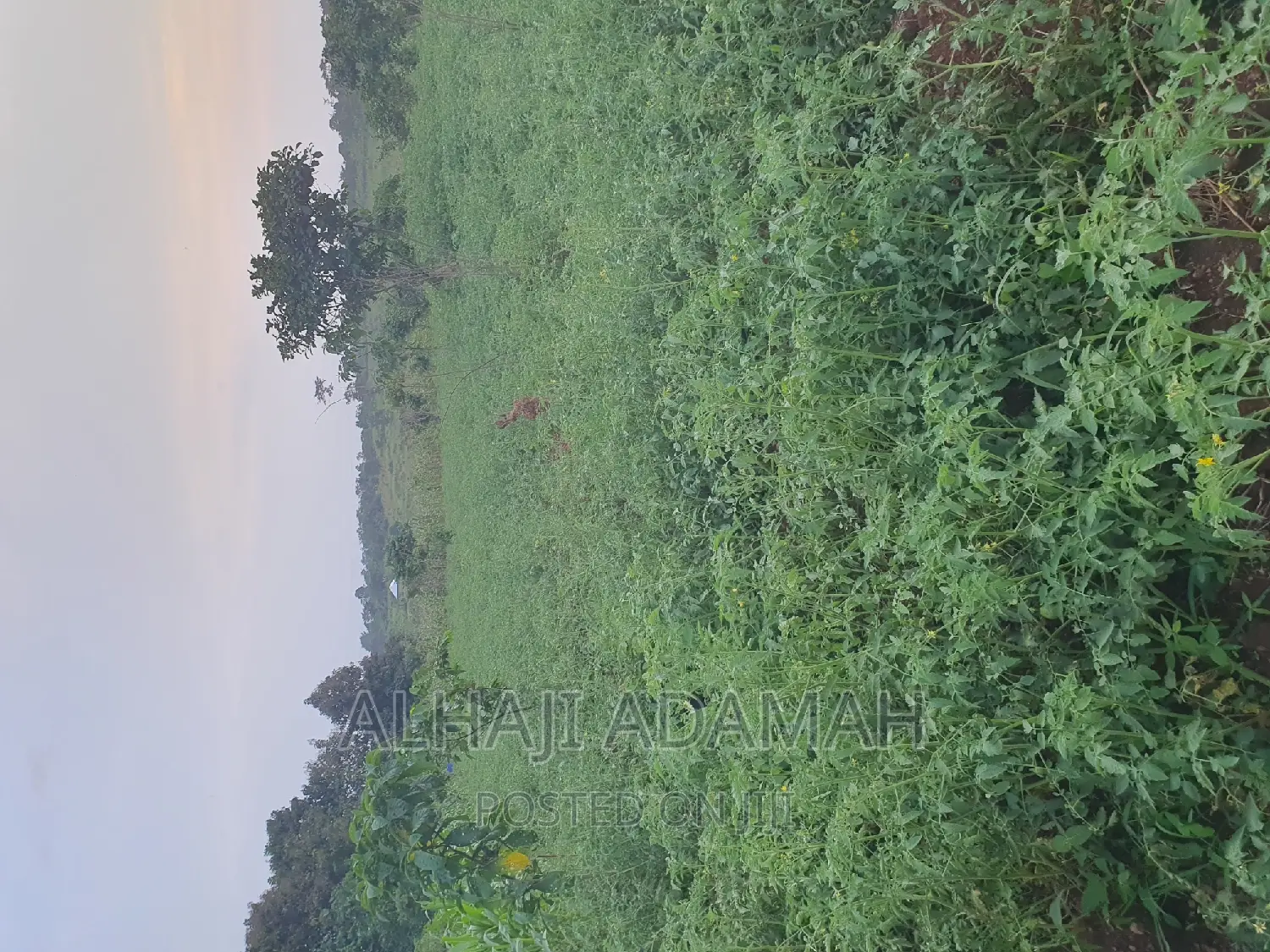 Land for Sale at Ampabame Kokoben