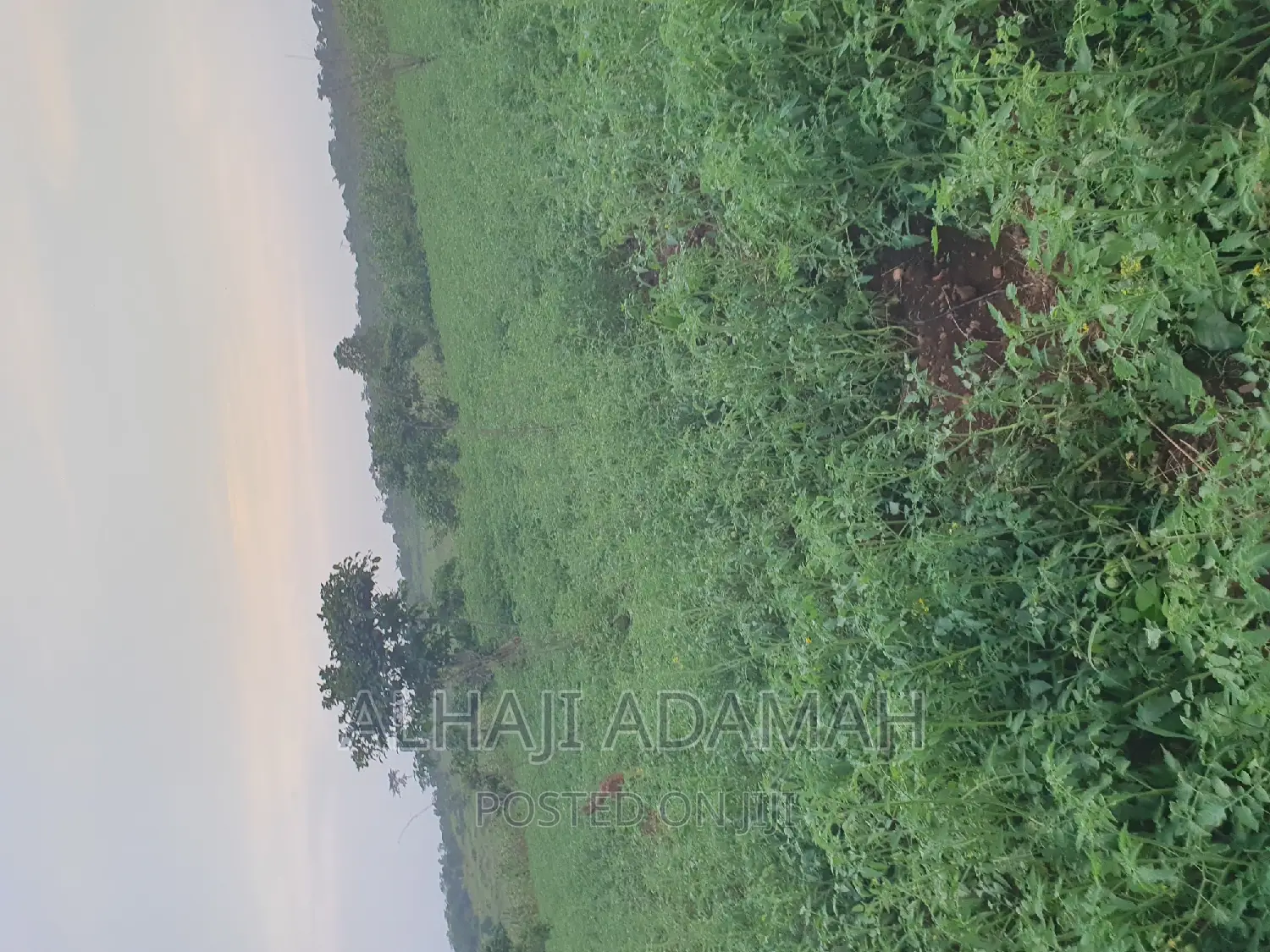 Land for Sale at Ampabame Kokoben