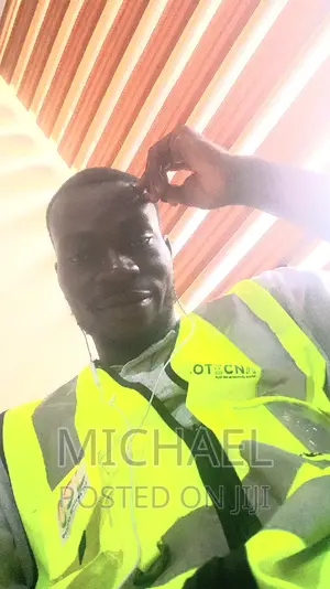 It Specialist