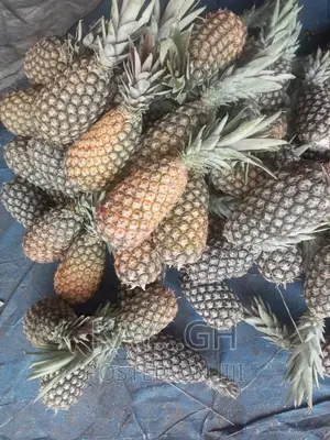 Fresh Pineapple