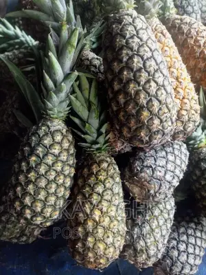 Fresh Pineapple