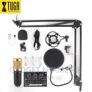 Bm 800 Full Set (Music Studio,Podcasts Etc)