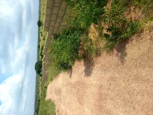Residential Real Estate Land in Kasoa Pentecost Iwc 4 Sale