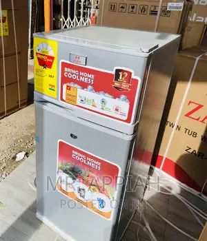 Buy Authentic Zara 12TM Double Door Electric Fridge,Silver.