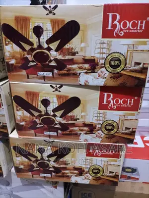 Roch Ceiling Fun