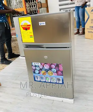 Shop Original Pearl PF-10T Double Door Electric Fridge 
