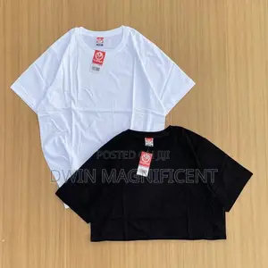 Authentic No Problem Plain T-Shirt