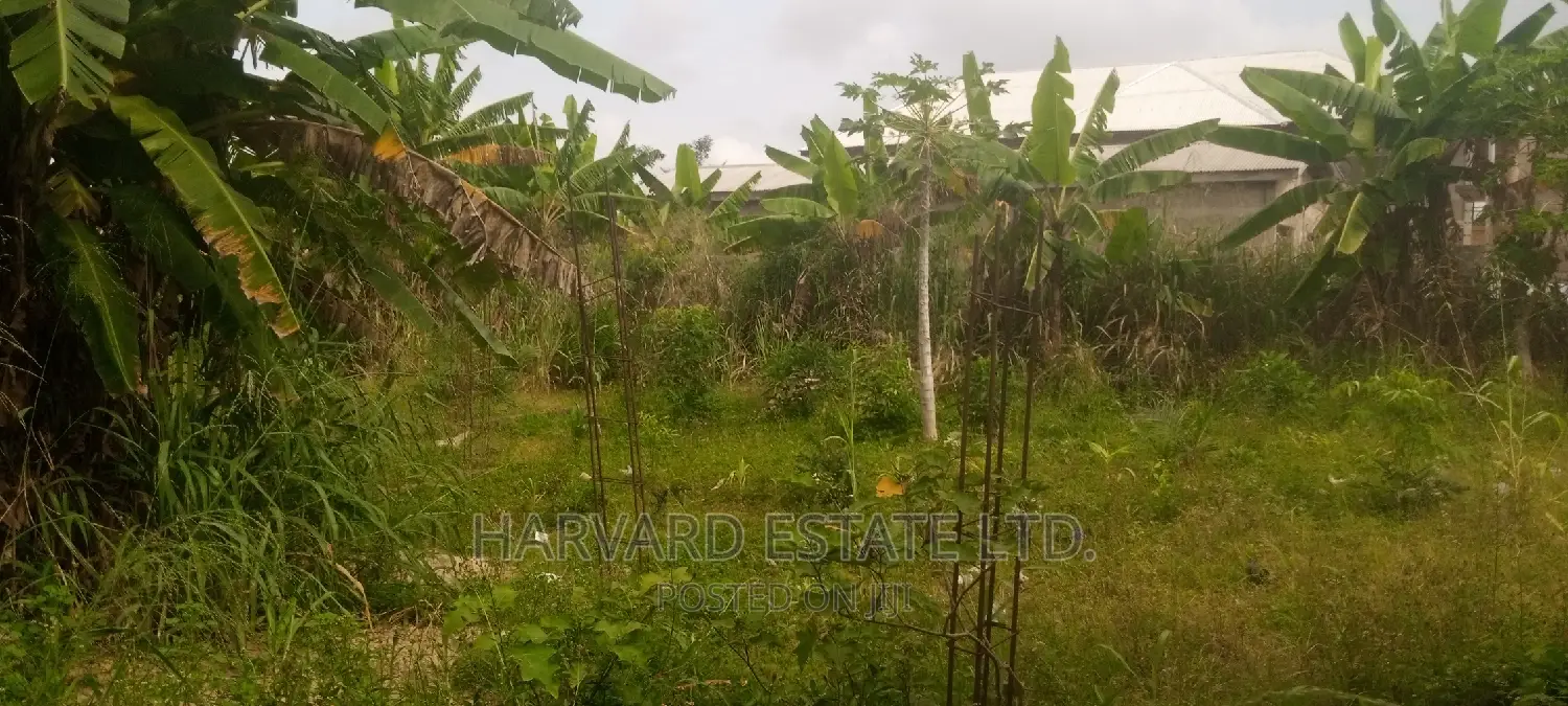 Land at Tech Oduom