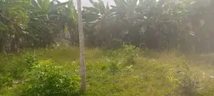 Land at Tech Oduom