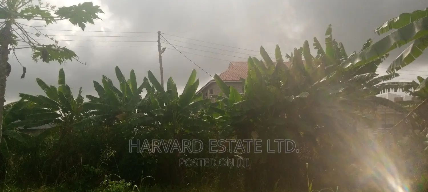 Land at Tech Oduom