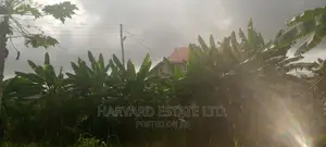 Land at Tech Oduom