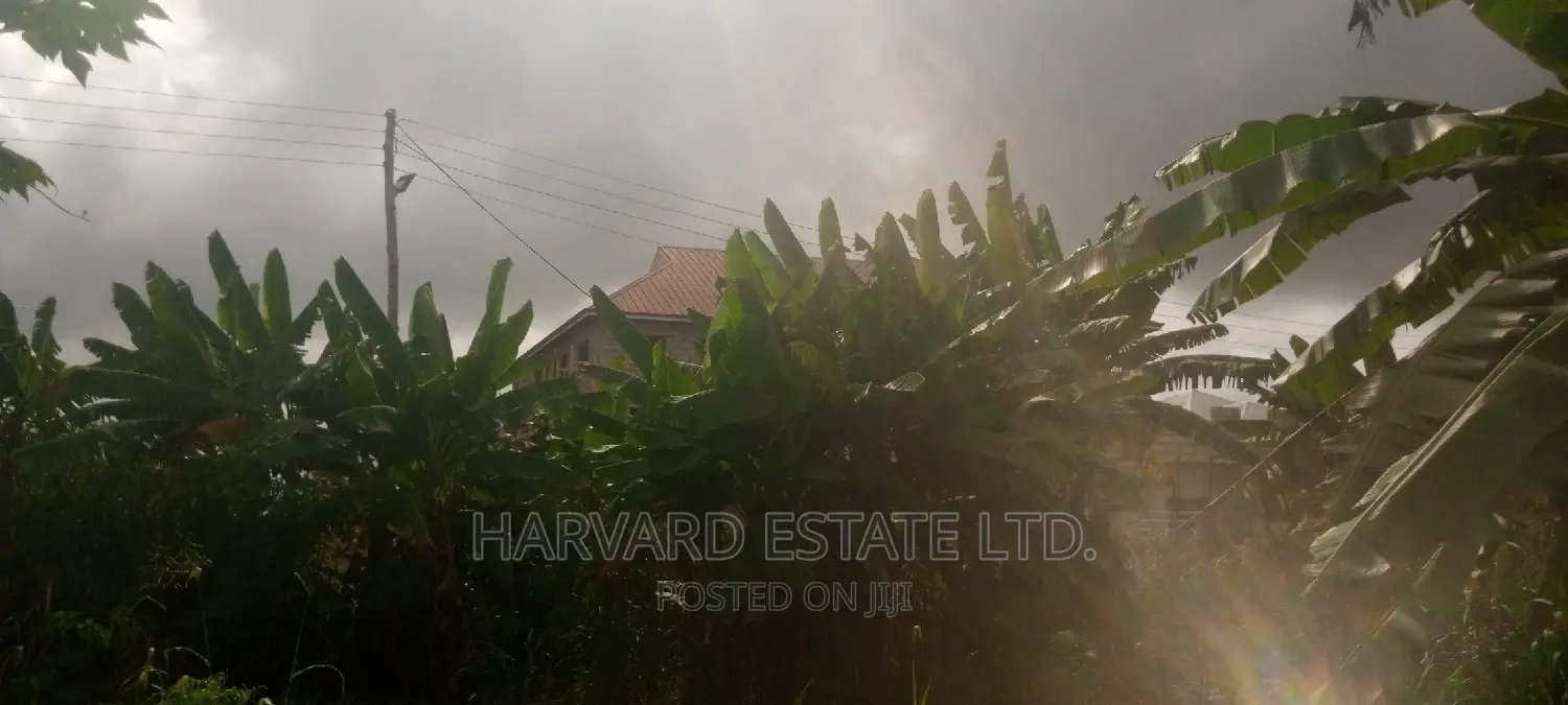 Land at Tech Oduom