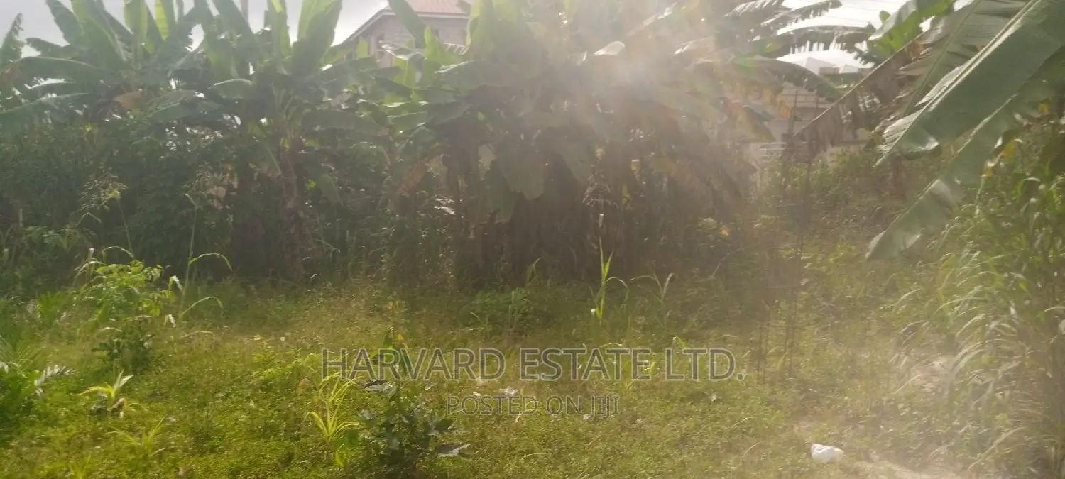 Land at Tech Oduom