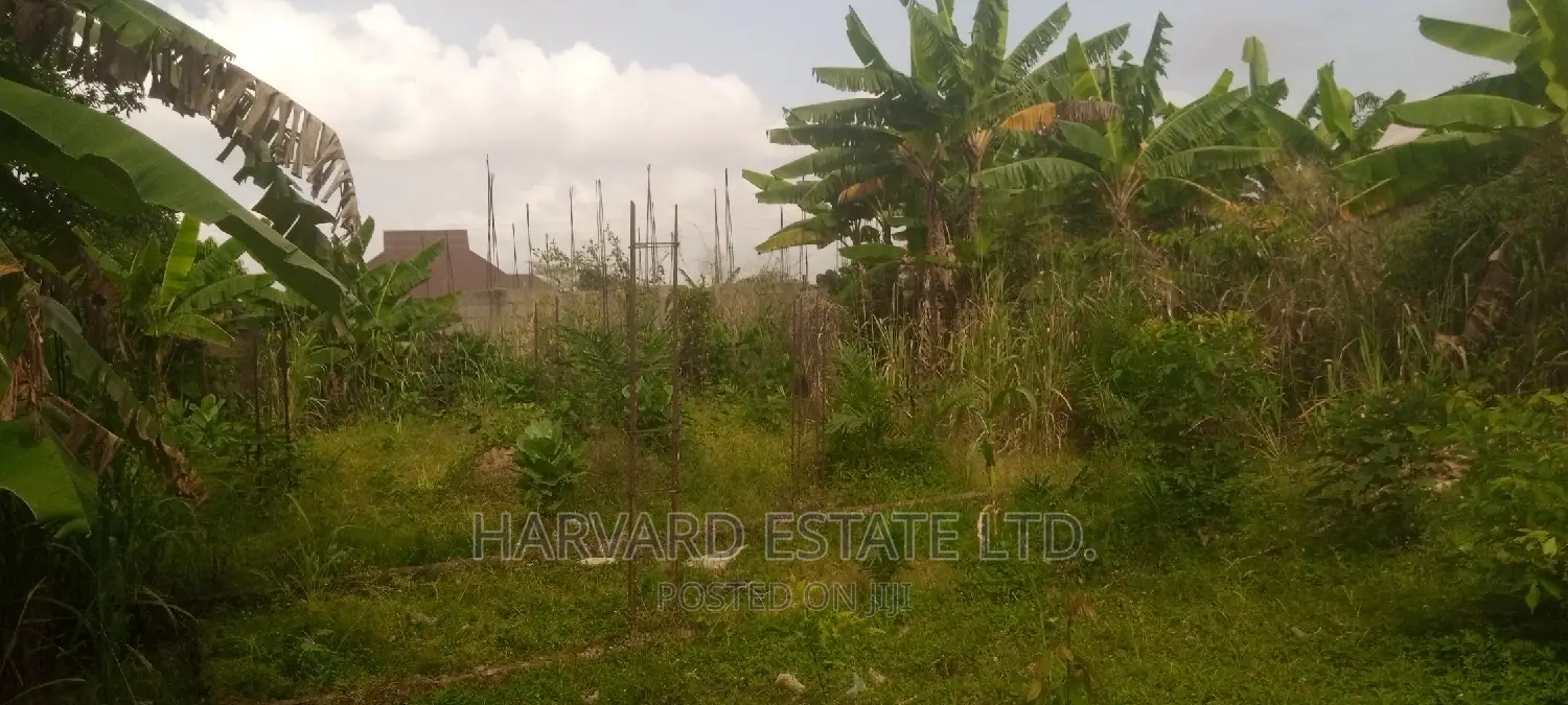 Land at Tech Oduom