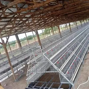 Automatic Battery Chicken Cage System