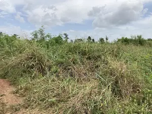 100 Plots for Sale at Atonsu ,Serwia Atonbiase.