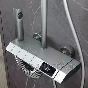 Temperature Reading Shower 8021h