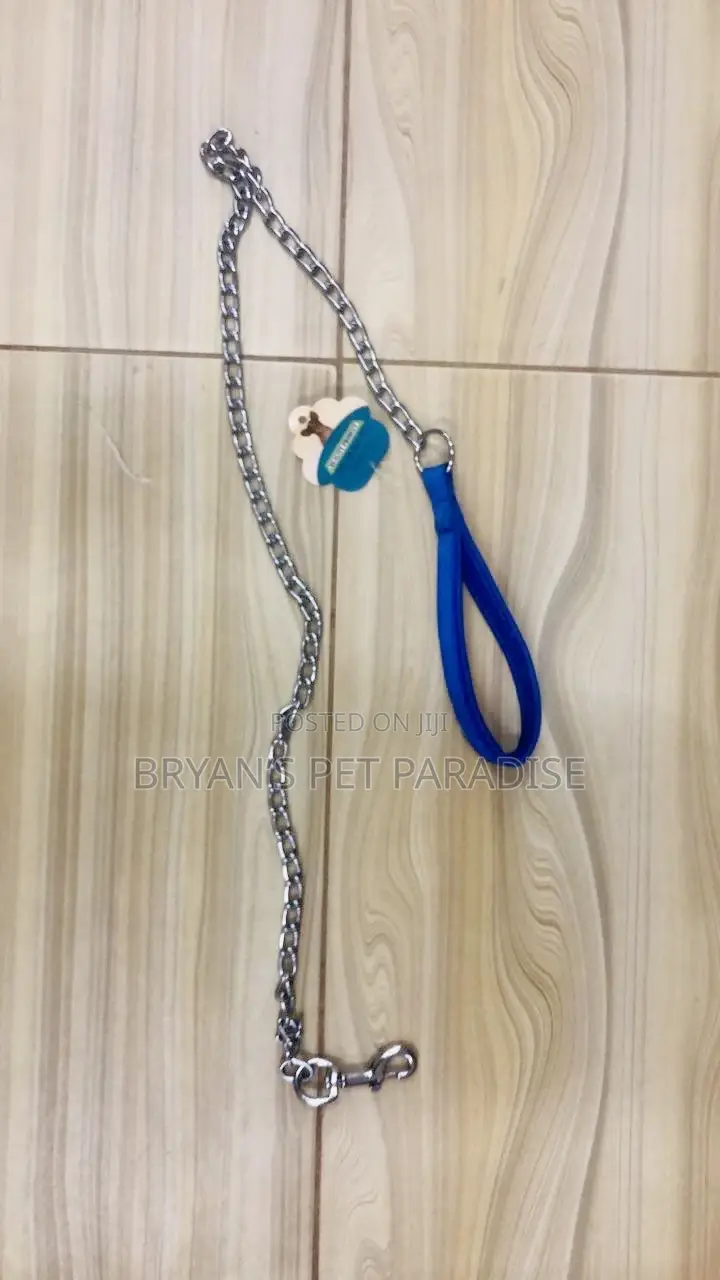 Dog Chain With Harness