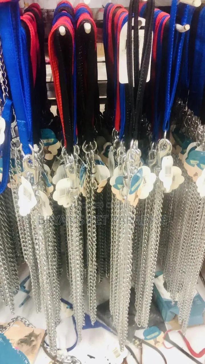 Dog Chain With Harness